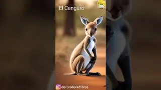 El Canguro | Devoradora de Libros | Historia Corta
