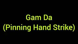 Live applications of various Wing Chun hands during free sparring - Rae Tan