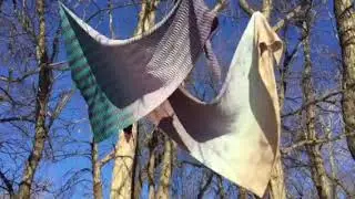 Crochet and Read Between the Lines Shawl