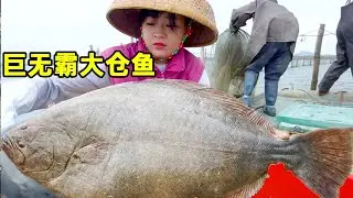阿渔妹赶海碰上巨无霸，二百多一条的大仓鱼，刚抓起就发生意外太吓人！【阿渔妹】