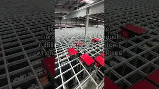 2024 In: Automated Technology, 2024 Out: Manual Order Packing