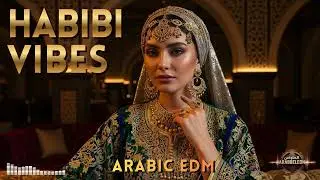 Arabic Club Remix | Habibi Beats for Late Night Dance Floors