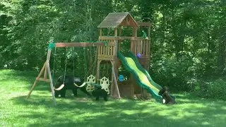 Family of Bears Having Some Playground Fun || ViralHog