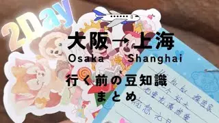 【上海ディズニーVlog】LCC＆格安航空でも最高の旅！早め予約で格安旅行【2日目】