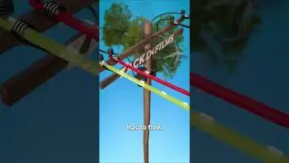 Подборка фактов от Mindsnacks | #факты #смешно #птицы #спасенныеживотные #научныефакты #электриче...