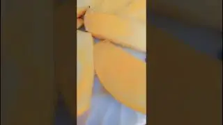 yummy yellow mangos#shorts #yummymango #mango #mangofruit #samreenshahzadi #mangobite