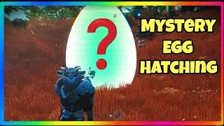 Mystery egg hatching in no man's sky