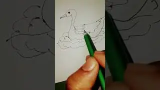 &hearts;&diams;&hearts;&diams;&hearts;&diams;&hearts;
