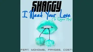 I Need Your Love (Te Quiero Mas)