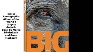 Author Marko Dimitrijevic's new book -  BIG