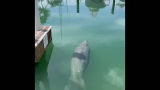 Ocean Edge Resort & Marina, Key West.