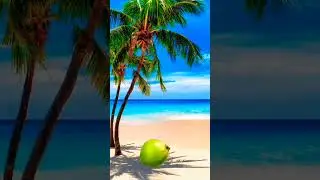 #coconut is falling down #viralvideo #shorts