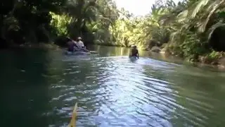 На лодках по джунглям Суматры в Индонезии. Jungle of Sumatra