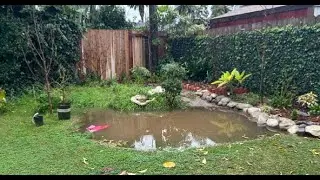 This Week in the Garden:  Garden Walk in the Rain, No Narration (S4.B1)