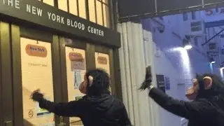New York Blood Center & Laurie Glimcher Protest