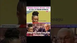 Chimmanda told European Union to apologize to African.