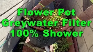 A DIY Greywater Flower Pot Filter to an existing drought tolerant landscape using the Aquifer Pipe.