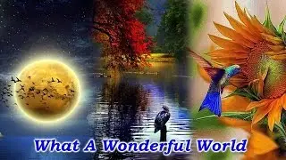 What A Wonderful World ♪ ♫ ♥ :: Daya Rawat & Stuart Hoffman