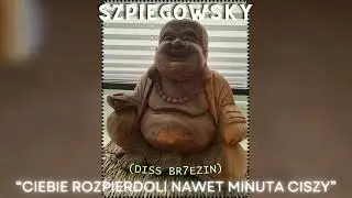 szpiegowsky - ciebie rozpierdoli nawet minuta ciszy (DISS BR7EZIN)
