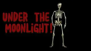 Under The Moonlight! 4k Video (Latin Fusion, Latin, Dance, Electronic with Arabic Influences)