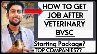 HOW TO FIND JOBS IN VETERINARY COMPANIES HIRE VETERINARIANS IN INDIA PRIVATE JOB VACANCY LINKEDIN
