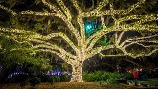 Nights of a Thousand Candles Brookgreen Gardens 2021 Myrtle Beach