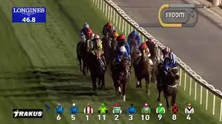 Race 7 Dubai Turf Sponsored by DP World
