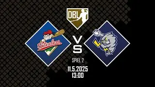 Live 🔴 Deutsche Baseball Liga: Hamburg Stealers vs. Hünstetten Storm - Spiel 2
