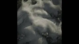 Sentient - Stilted [IAR280]