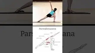 How to Do Parsvakonasana (Extended Side Angle Pose) - Anatomy