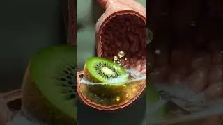 What Happens Inside Your Body When You Eat Kiwi 🥝 | 3D Anatomy