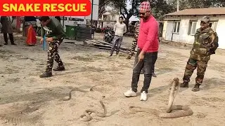 Dangerous cobra snake Rescue operation in the market from Kateya Gopalgunj Bihar | Snake Rescue