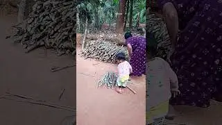 അമ്പാടിയും അച്ഛമ്മയും വിറകുപണിയിൽ ആണ് #shorts
