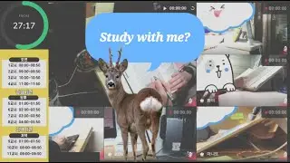 [경시생 스터디윗미] |D-57|합격열차 출바알~!🚂🚂|26.1.16✏시냇물+장작소리|뽀모도로 12set|알람(0)|경간|경찰승진|소방직|공시생 스터디윗미