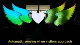 LED induction interactive wing lights
