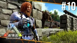 Building a Wall to Protect my Tames! | ARK: Survival Evolved - The Island #10