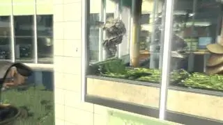 Little Edit by VBILLCAM