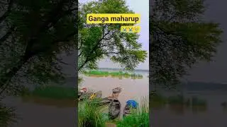 ganga maharp 😭😭😭🤭🤭