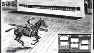 The Gaits of a Horse: Understanding a horse's movement