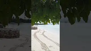 Modala Beach Resort ⛵⛵ #travel #boholisland #divingtime #divingtrip #nature #panglaobohol
