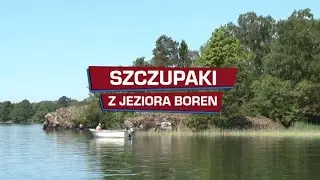 Szczupaki z Jeziora Boren