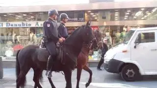 Lovely!  Mounted police in Madrid center