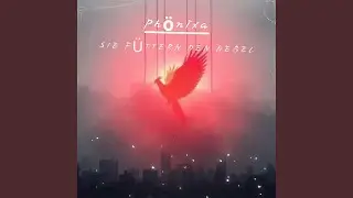 Sie f&uuml;ttern den Nebel