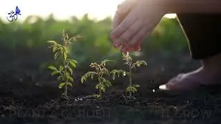 Earth Day Awareness | The Center For Transformation