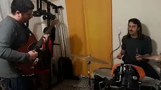 Zorzal - consecuencias  