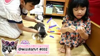Miss Ratut, Kucing Berdiri ???