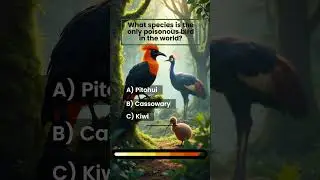 A Poisonous Bird!? 🐦😱 #animalexploration #animalquiz