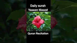 Surah Rahman | Ultimate Quran Healing  | Abdul Raihan Abdul Rehman