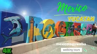 PROGRESO, MEXICO 🇲🇽 Sunday Beach Walk | Malec&oacute;n & Gulf of Mexico [4K]