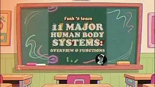 Human Body Systems (Overview) | Funk 'n Learn